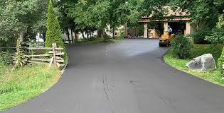 Best Driveway Pressure Washing  in Blakely, GA